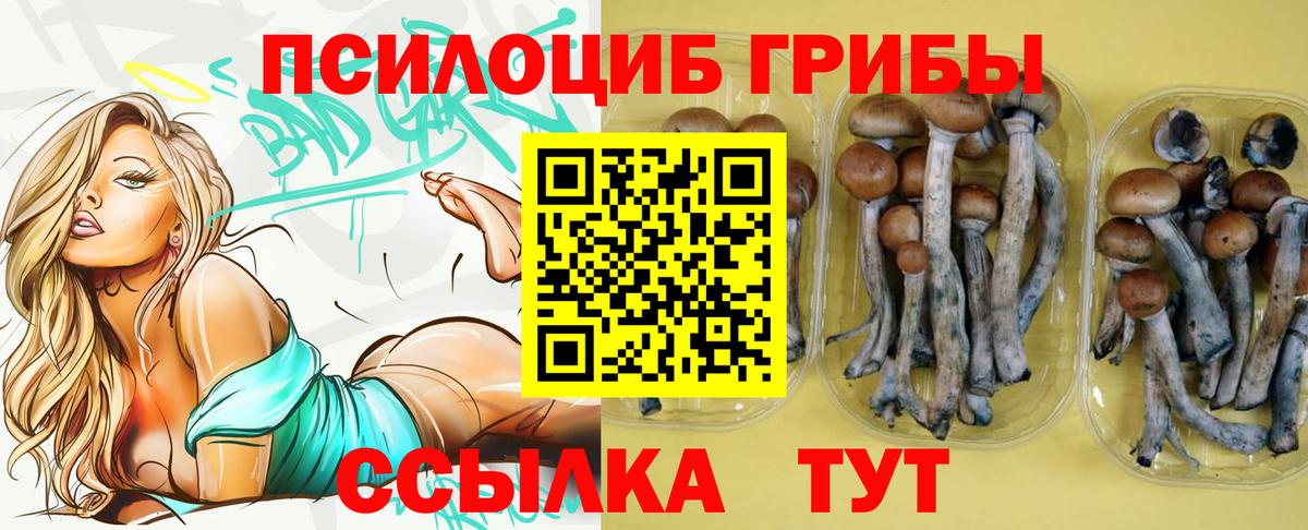 Псилоцибиновые грибы прущие грибы  Вход с VPN  Карасук 
